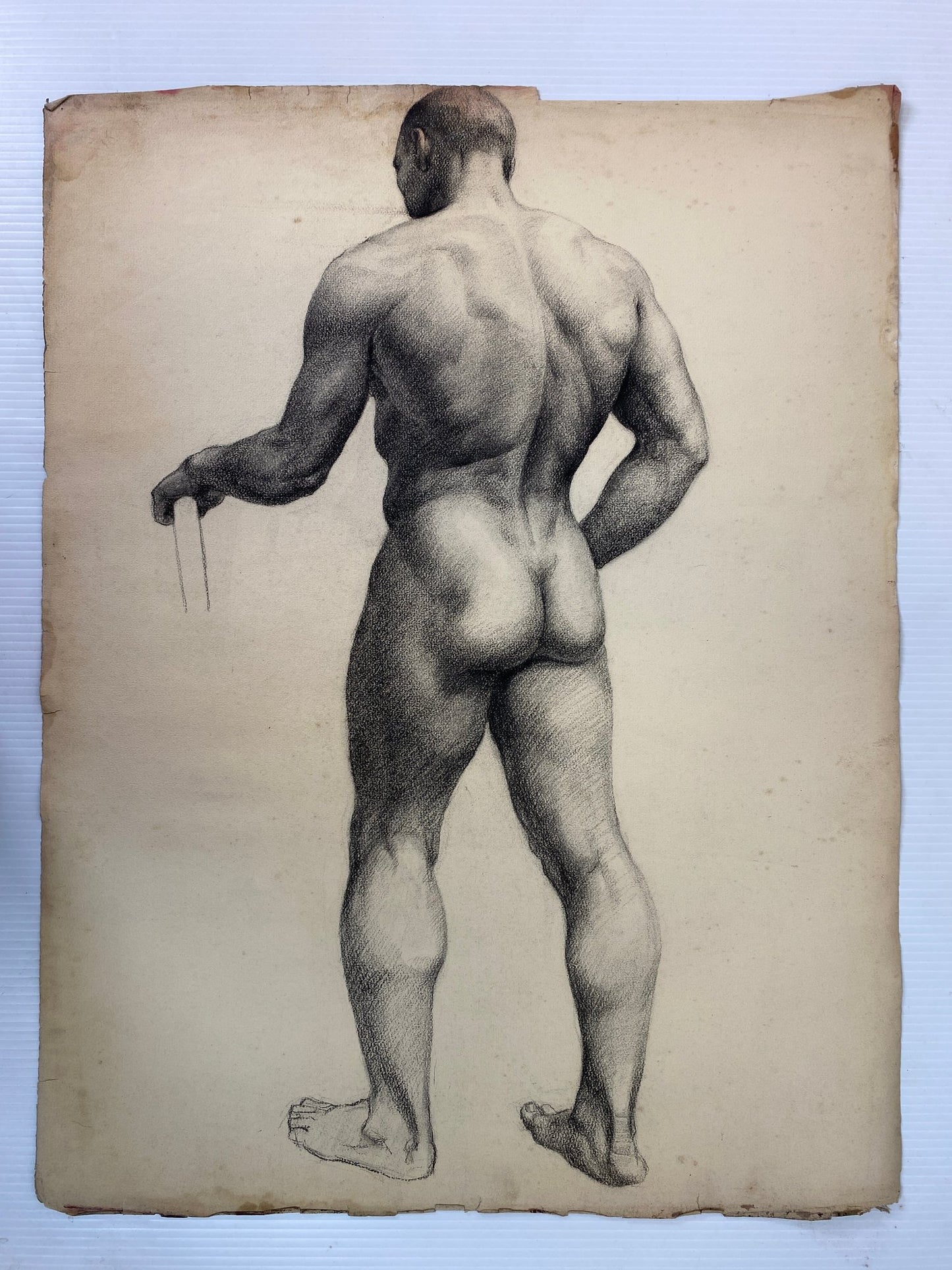 Alton Tobey: Academic Male Studies