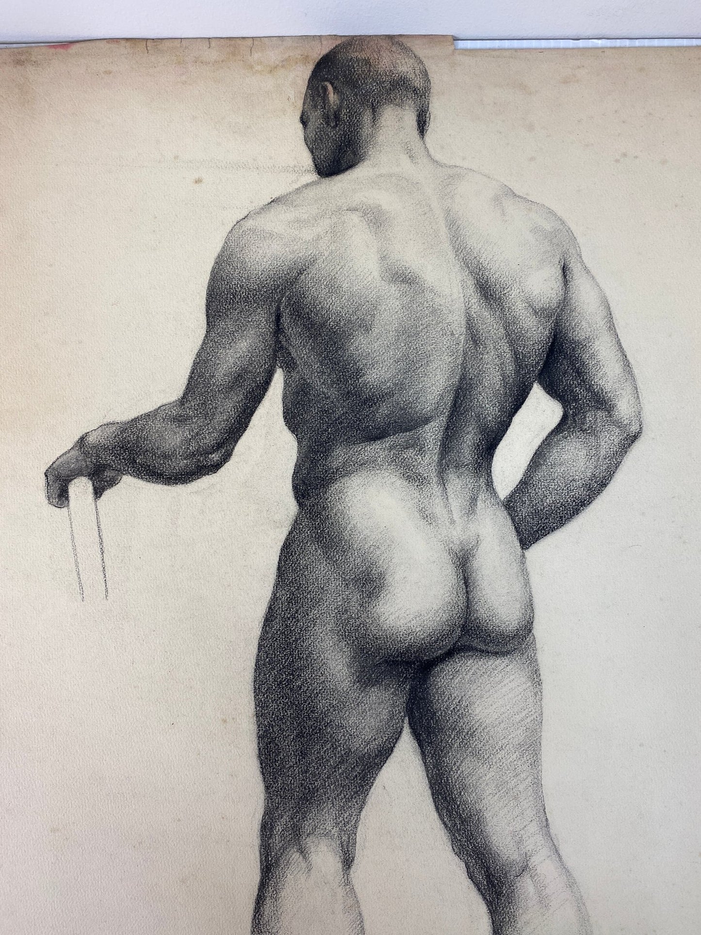 Alton Tobey: Academic Male Studies