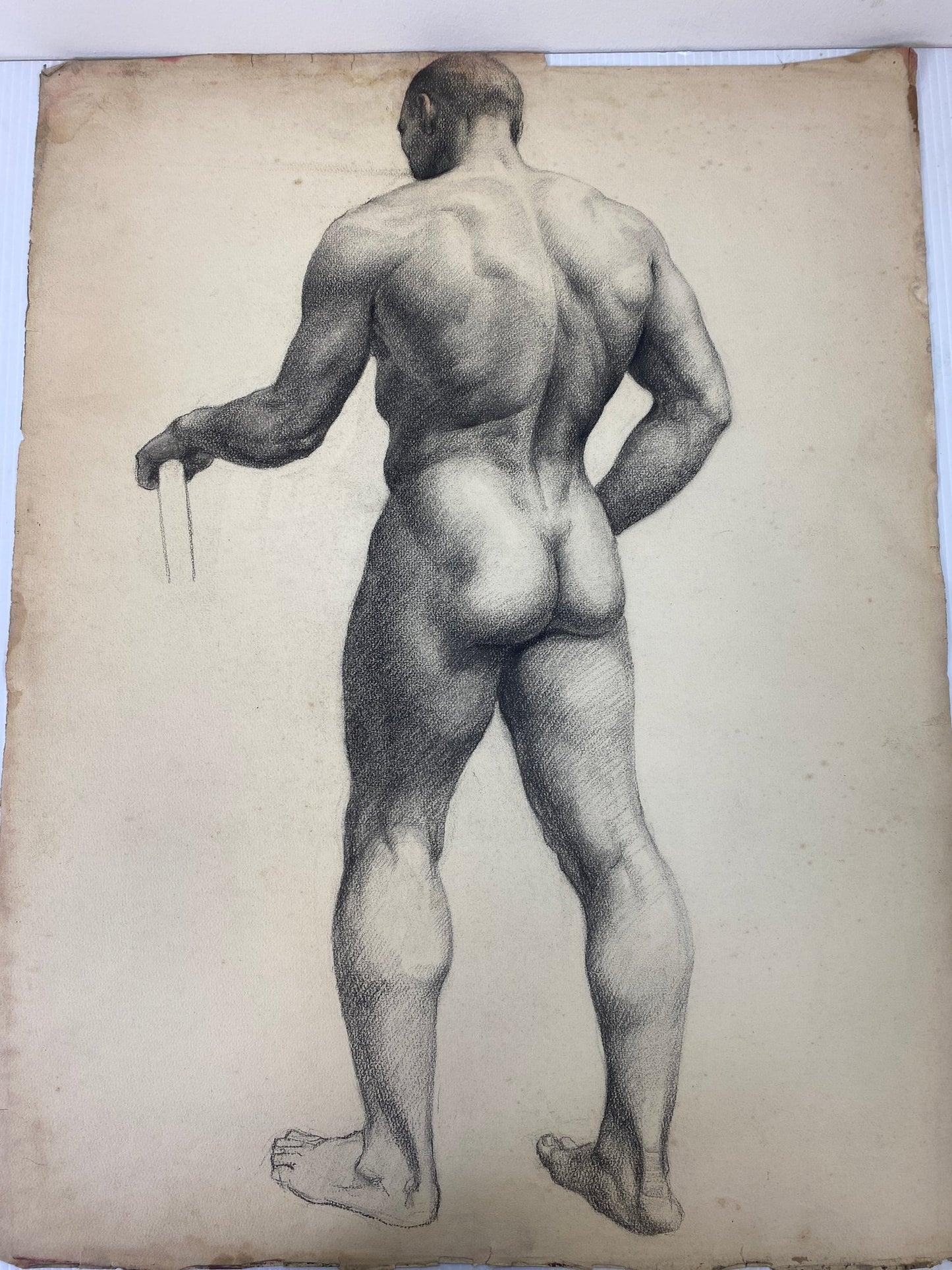 Alton Tobey: Academic Male Studies