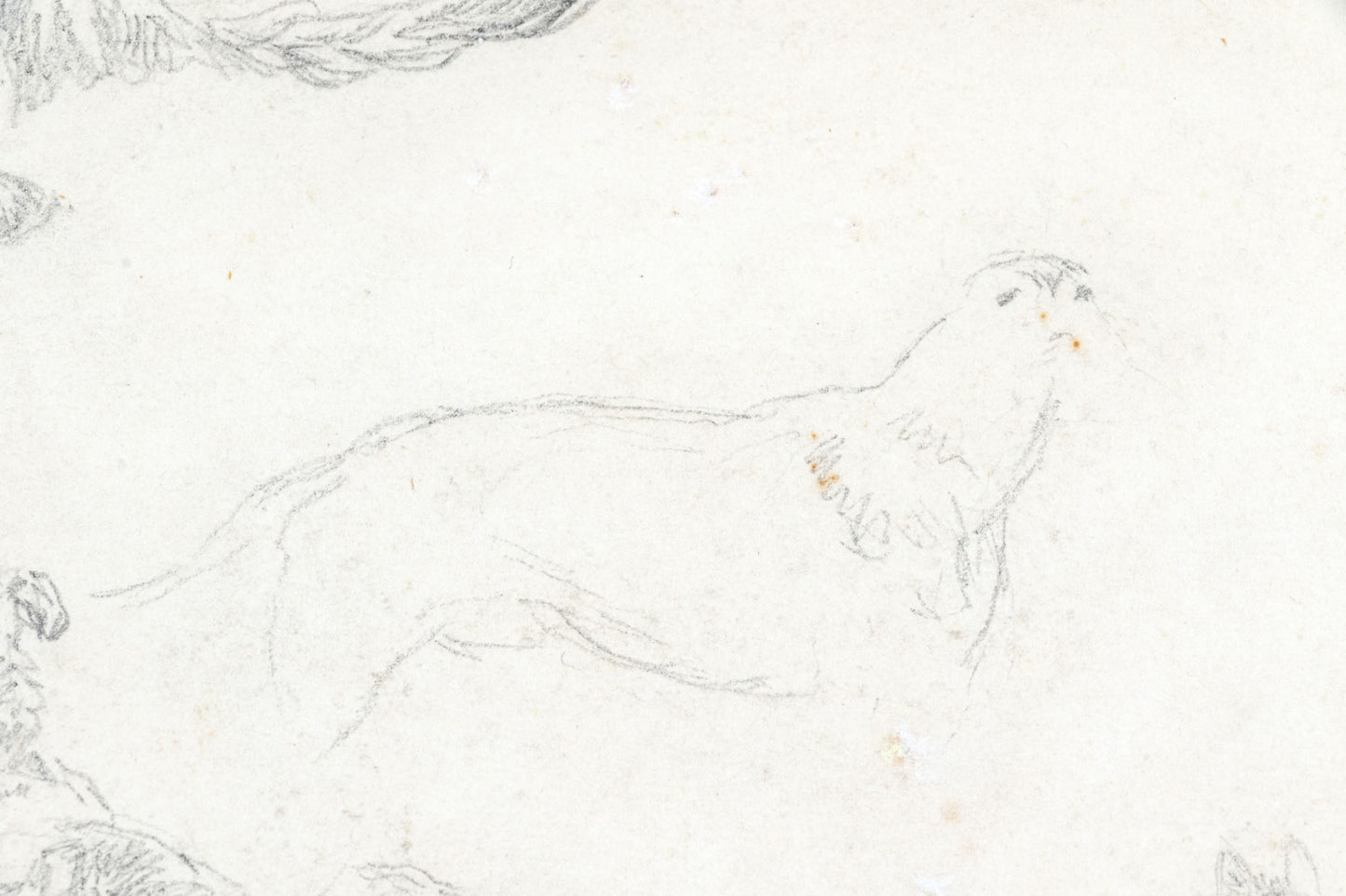 Charles Jones, A.R.S.A. (British, 1836-1892) Pencil Study Of Dogs