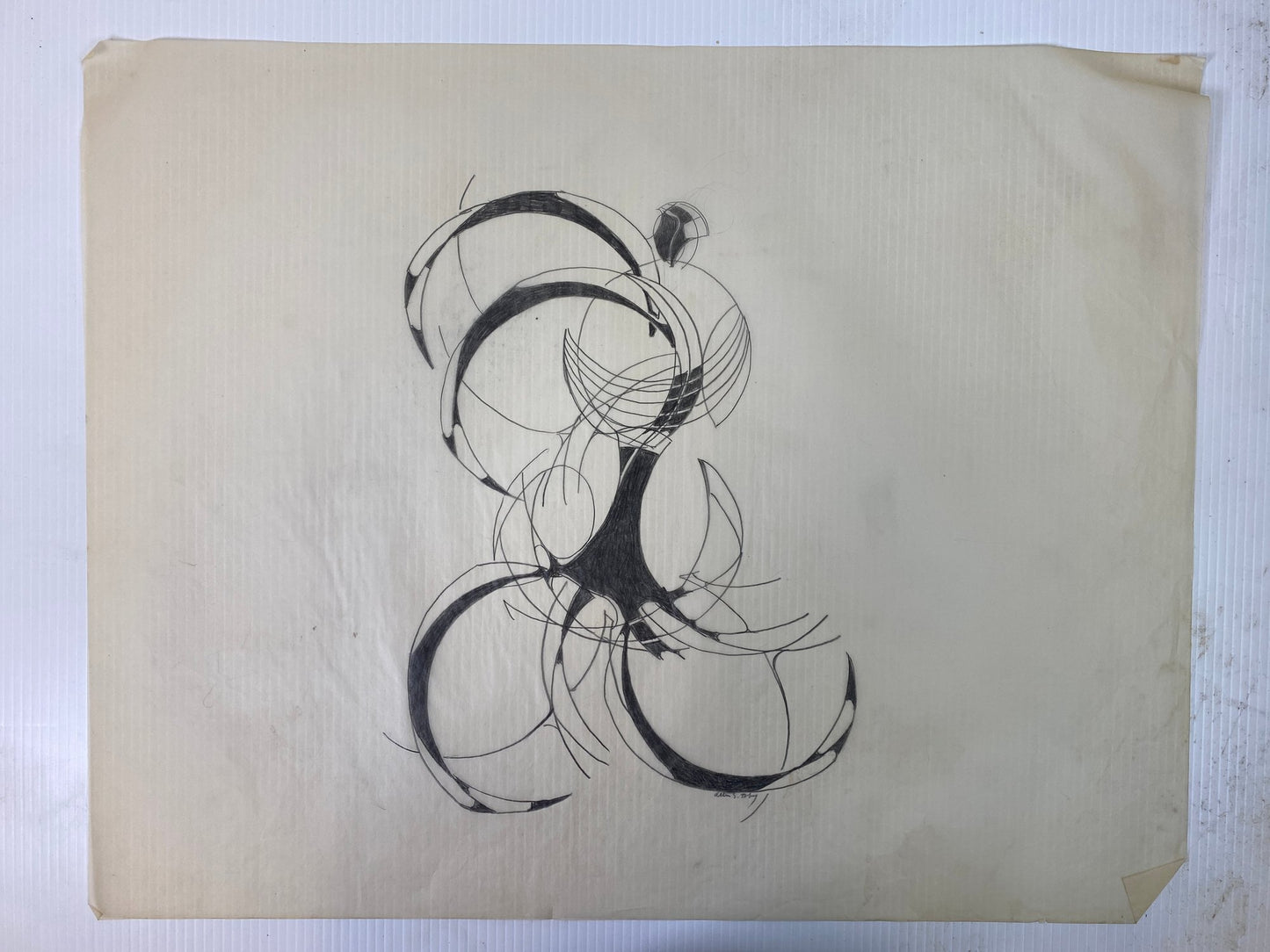 Alton S Tobey - Graphite studies on velum