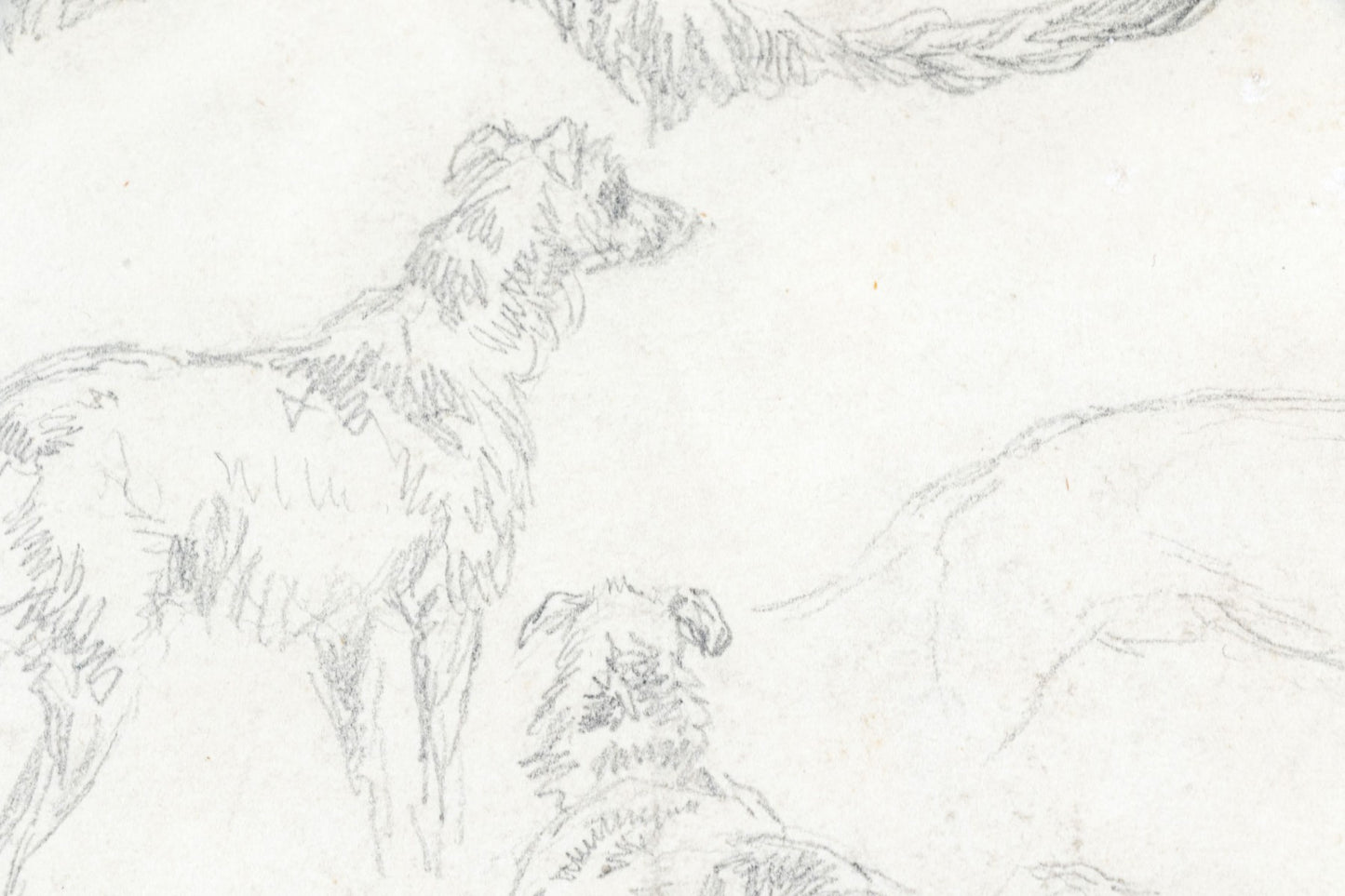 Charles Jones, A.R.S.A. (British, 1836-1892) Pencil Study Of Dogs