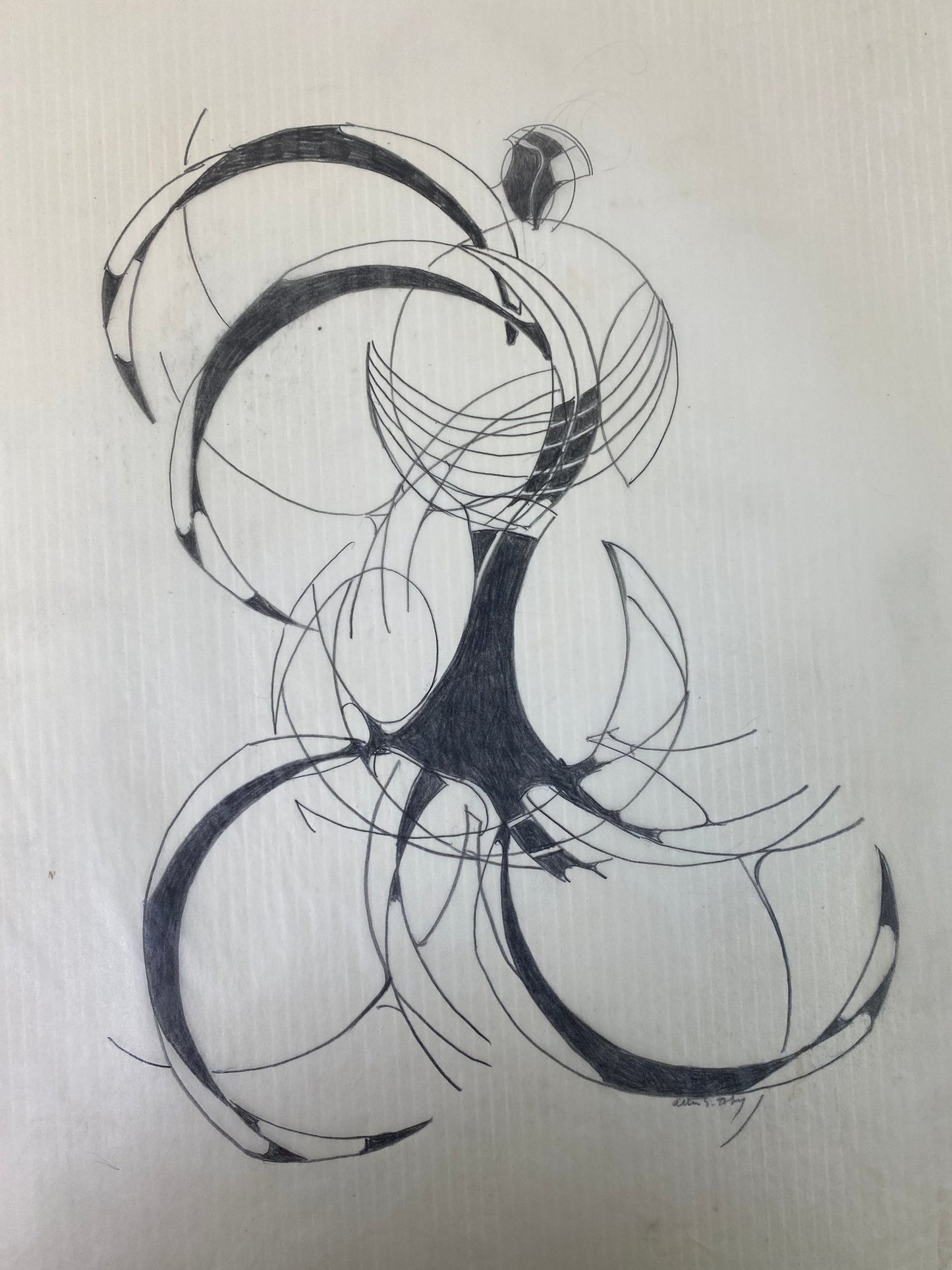Alton S Tobey - Graphite studies on velum