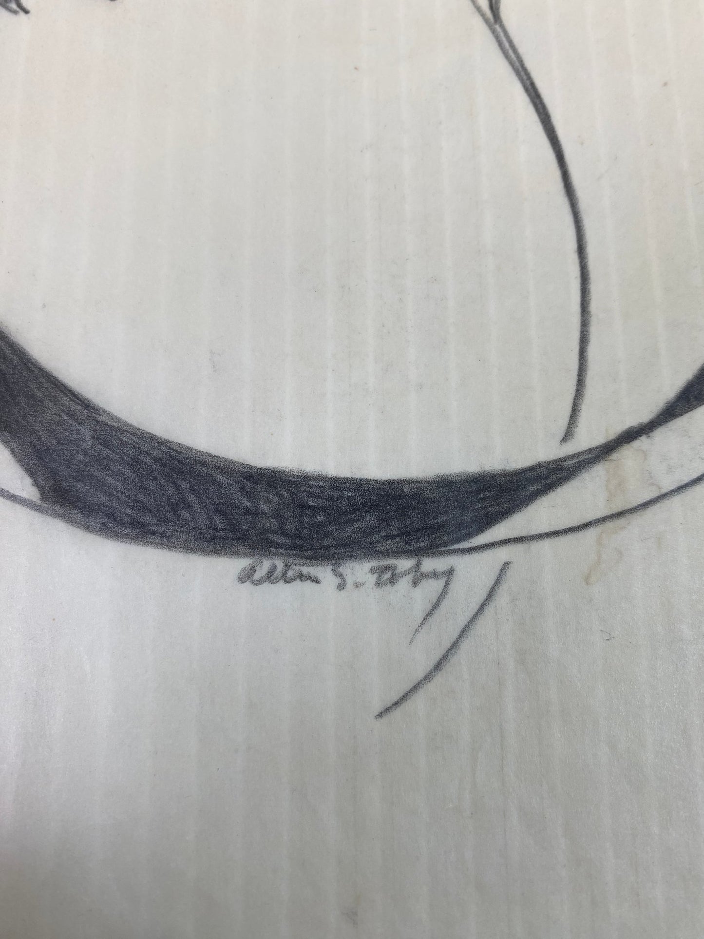 Alton S Tobey - Graphite studies on velum