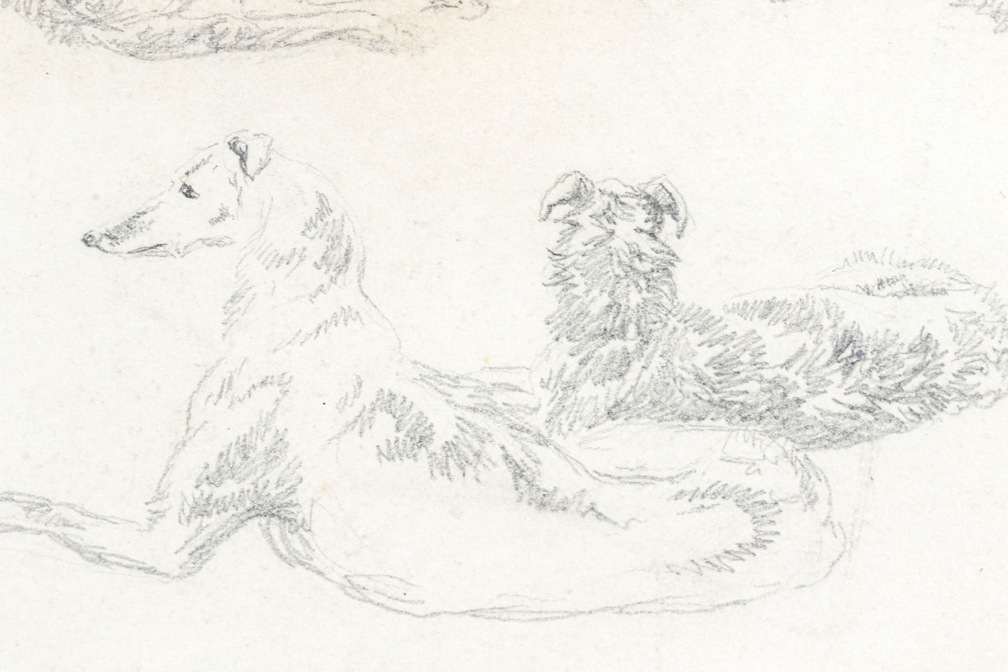 Charles Jones, A.R.S.A. (British, 1836-1892) Pencil Study Of Dogs