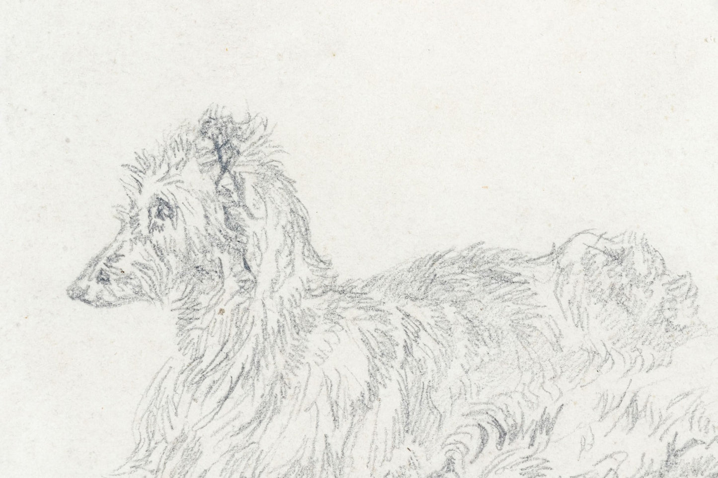 Charles Jones, A.R.S.A. (British, 1836-1892) Pencil Study Of Dogs