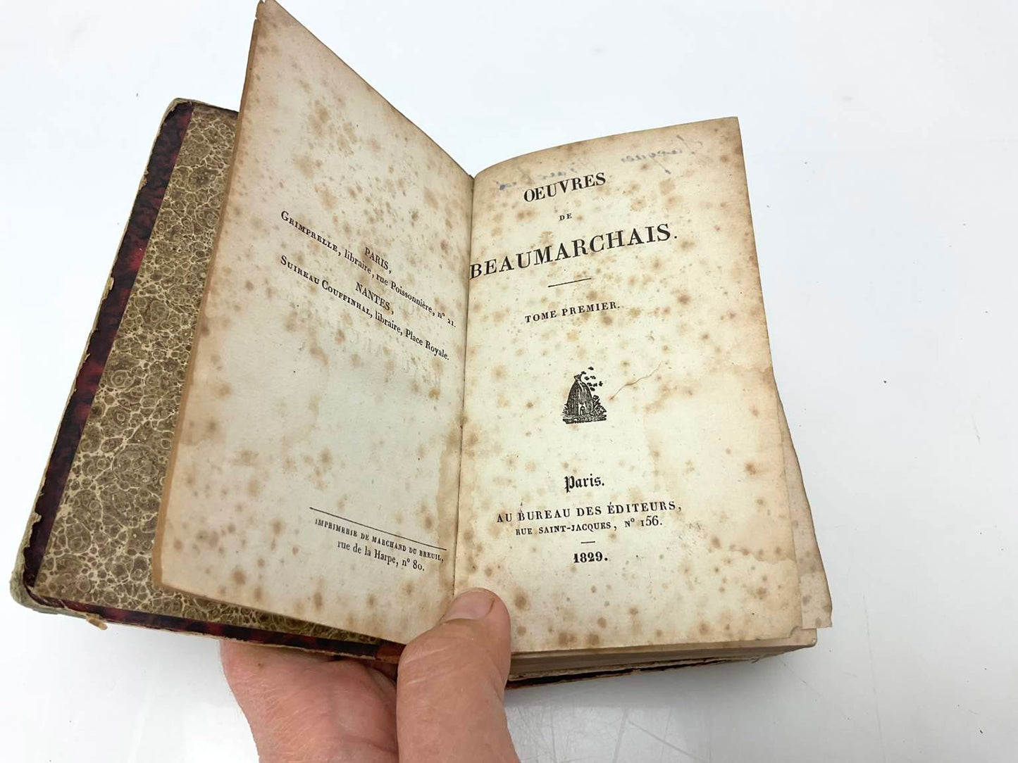 Collection of 19th Century Antique Books (11)