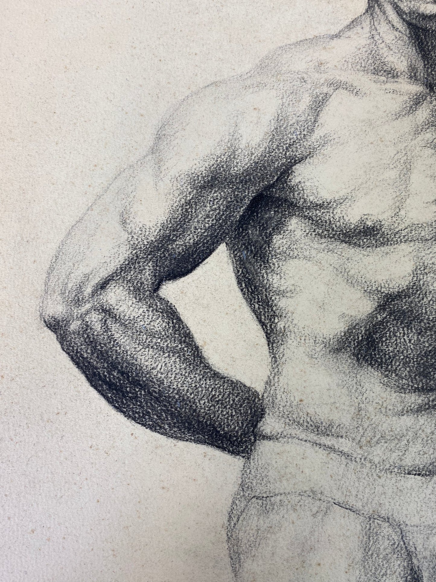 Alton Tobey: Academic Male Studies