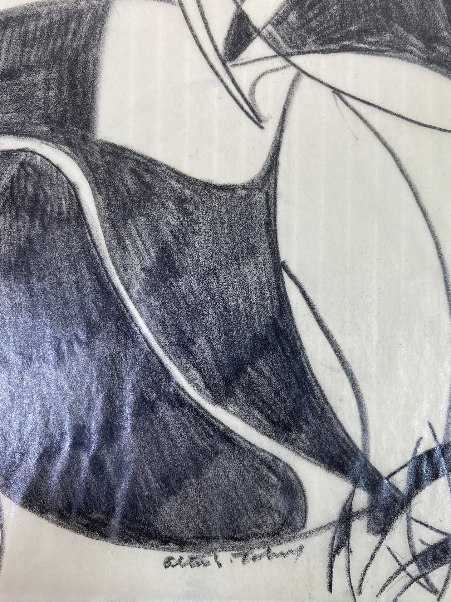 Alton S Tobey - Graphite studies on velum