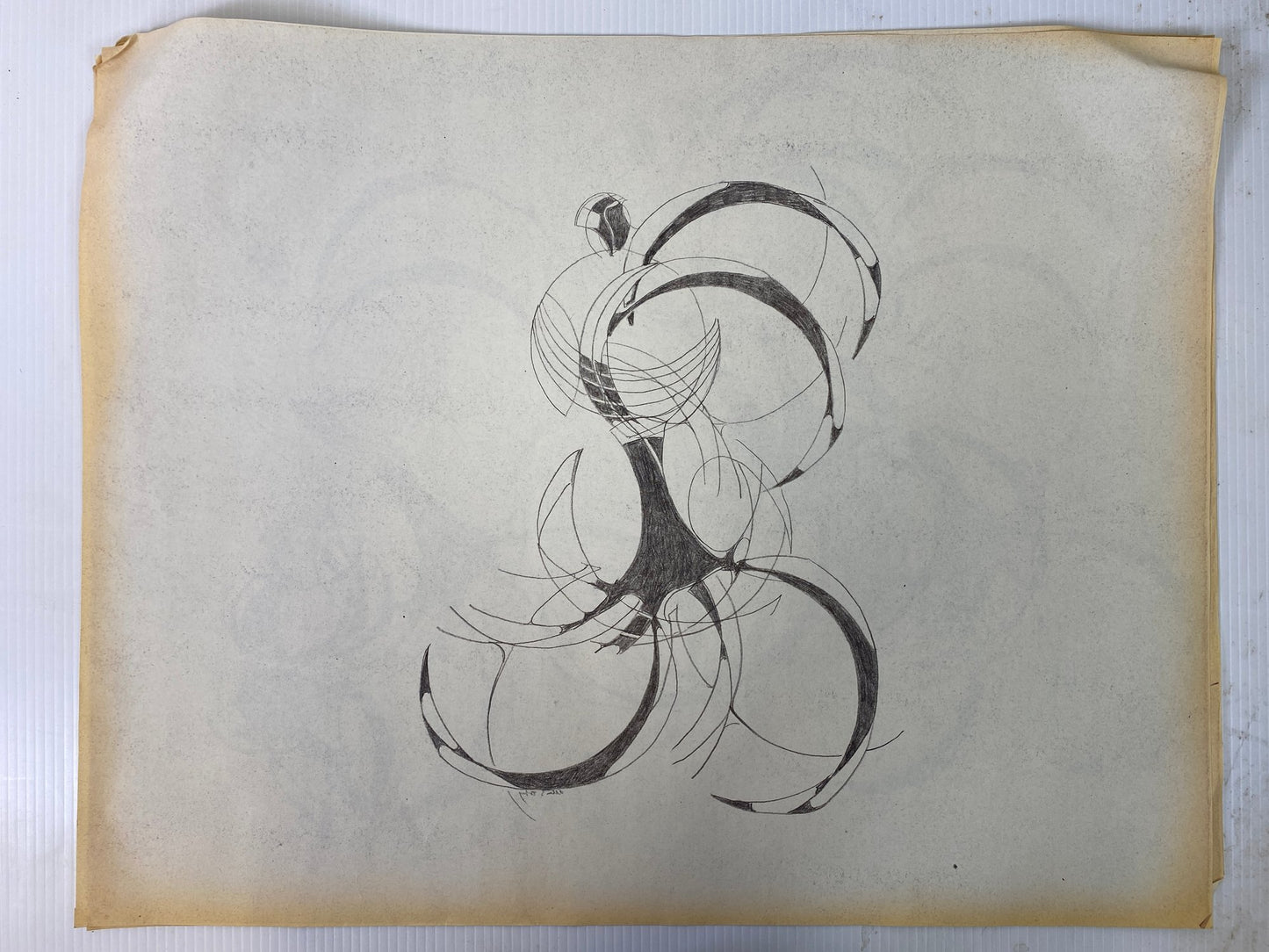 Alton S Tobey - Graphite studies on velum