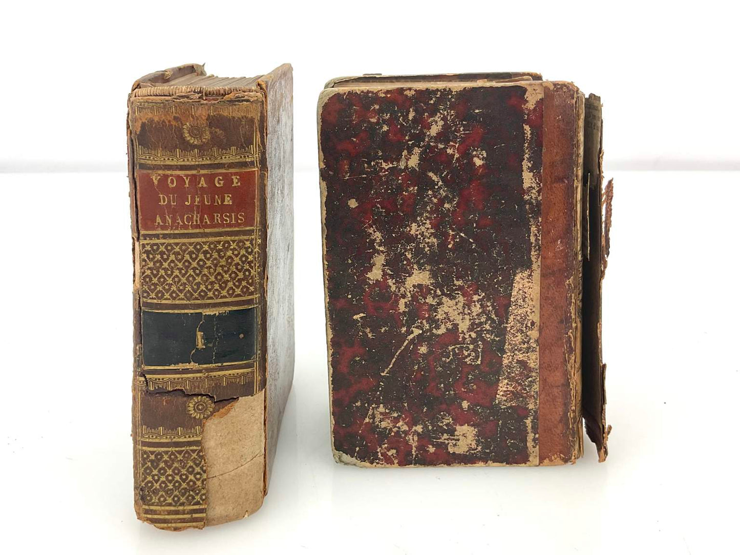 Collection of 19th Century Antique Books (11)