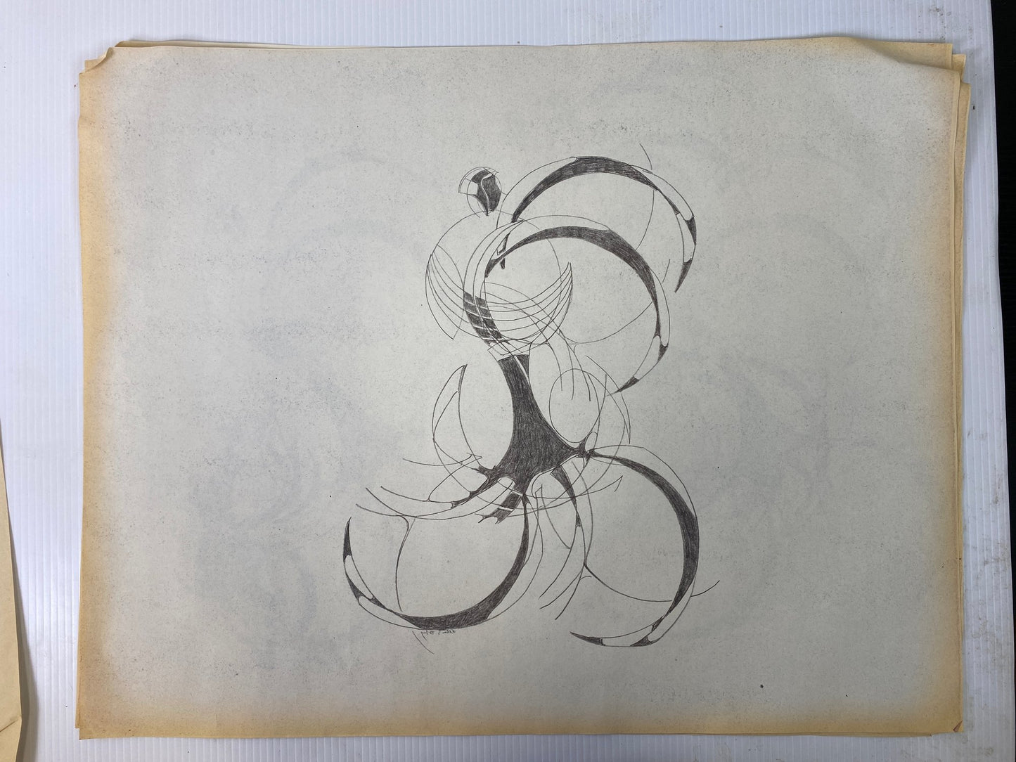 Alton S Tobey - Graphite studies on velum