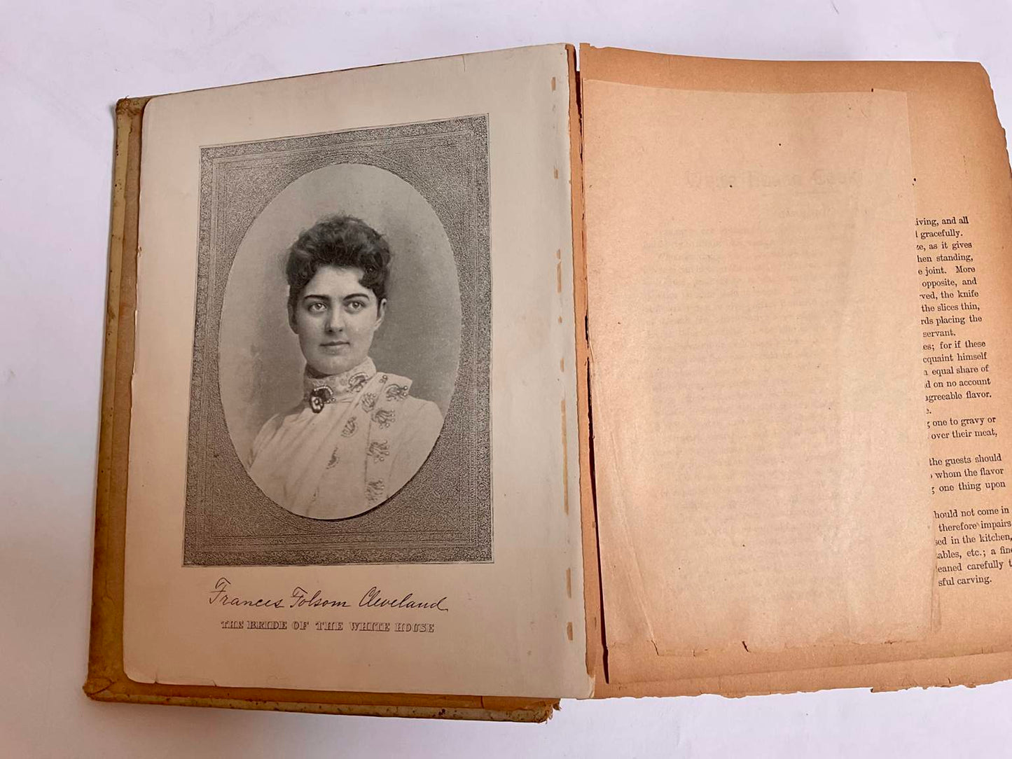 The 1894 Edition of the White House Cookbook by F. L. Gillette
