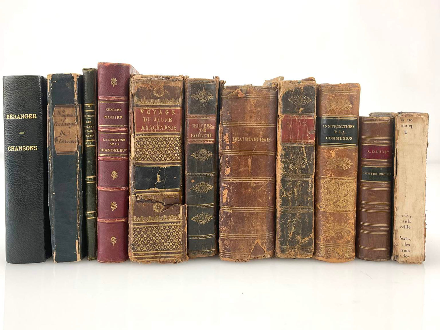 Collection of 19th Century Antique Books (11)
