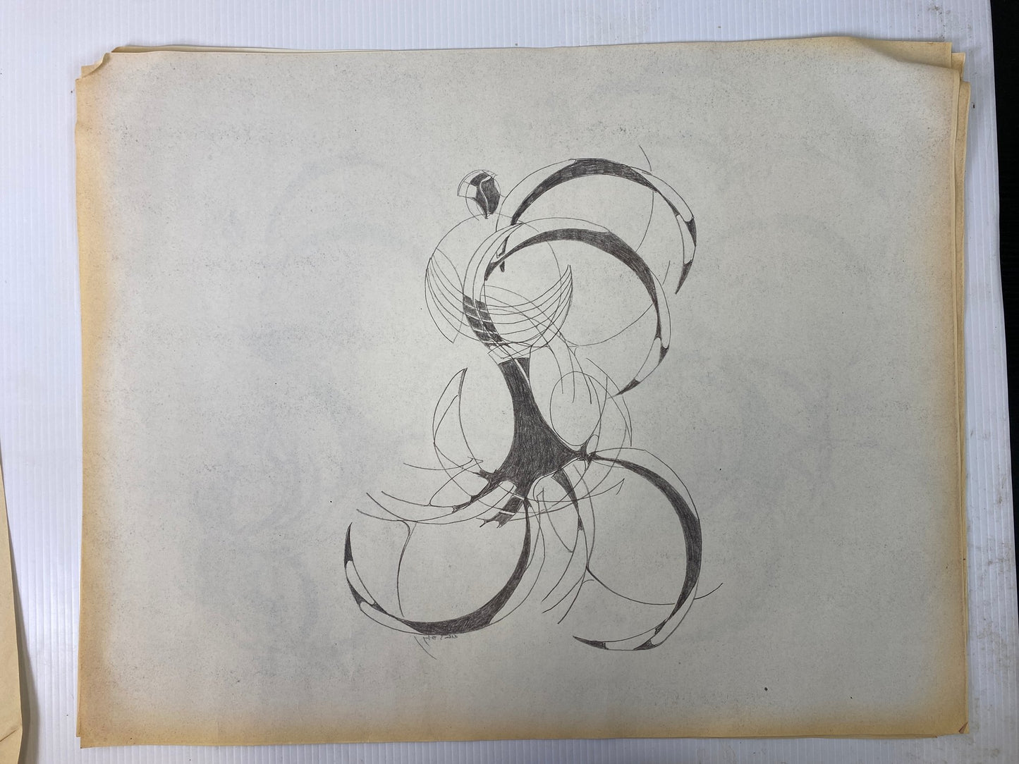 Alton S Tobey - Graphite studies on velum
