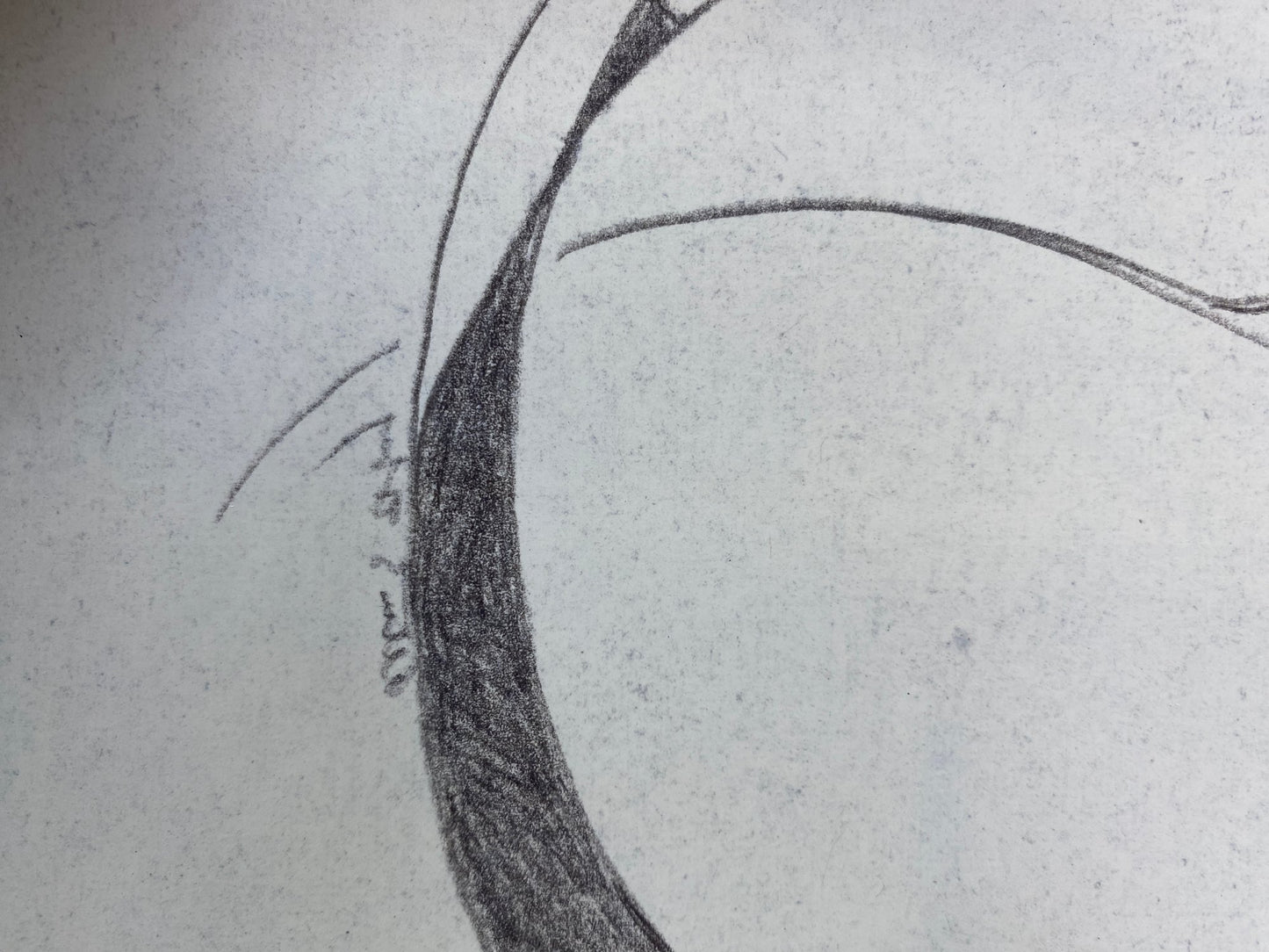 Alton S Tobey - Graphite studies on velum