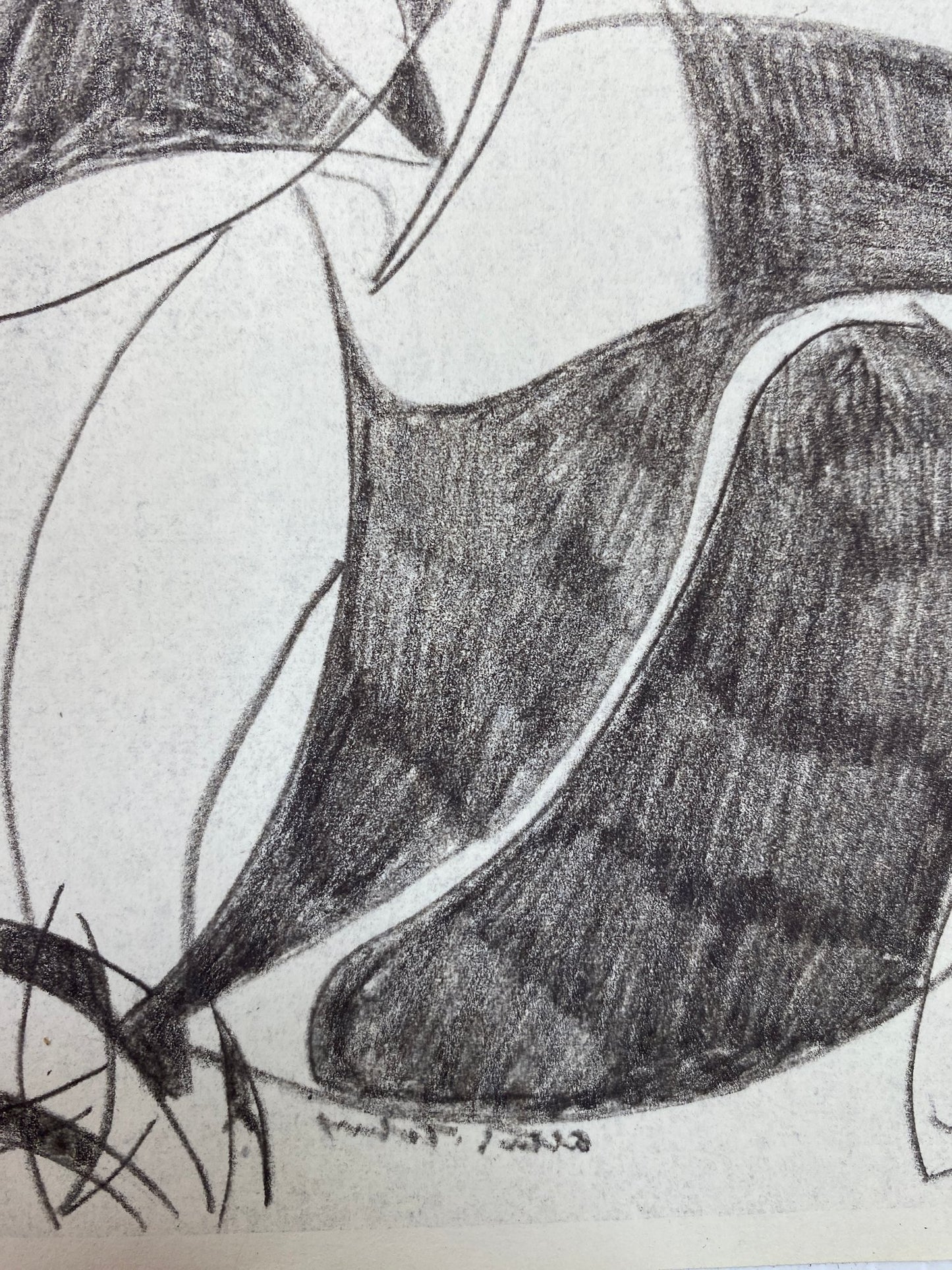 Alton S Tobey - Graphite studies on velum