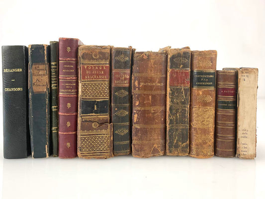 Collection of 19th Century Antique Books (11)