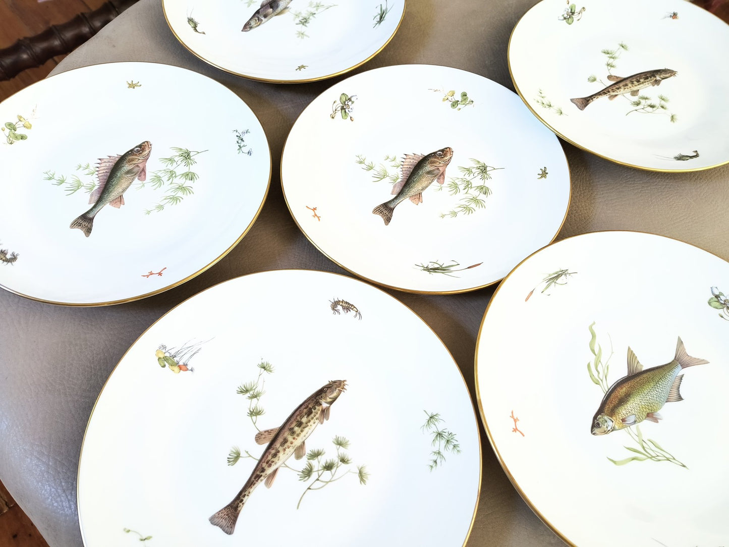 Richard Ginori 10" Dinner Plates (Fish)