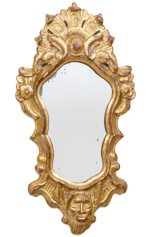 Ornate Rococo Style Gilt Finished Mirror