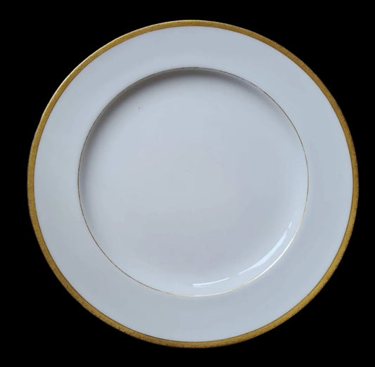 Vintage Dinner Plates Mintons for Burley & Co. H969 - Set of 5