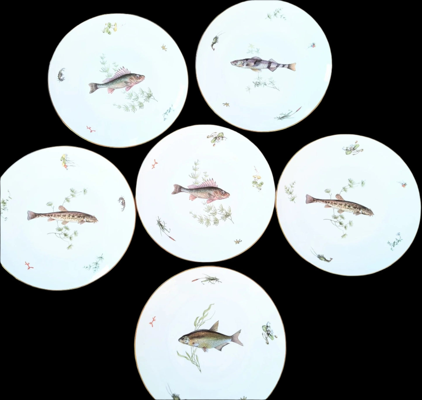 Richard Ginori 10" Dinner Plates (Fish)