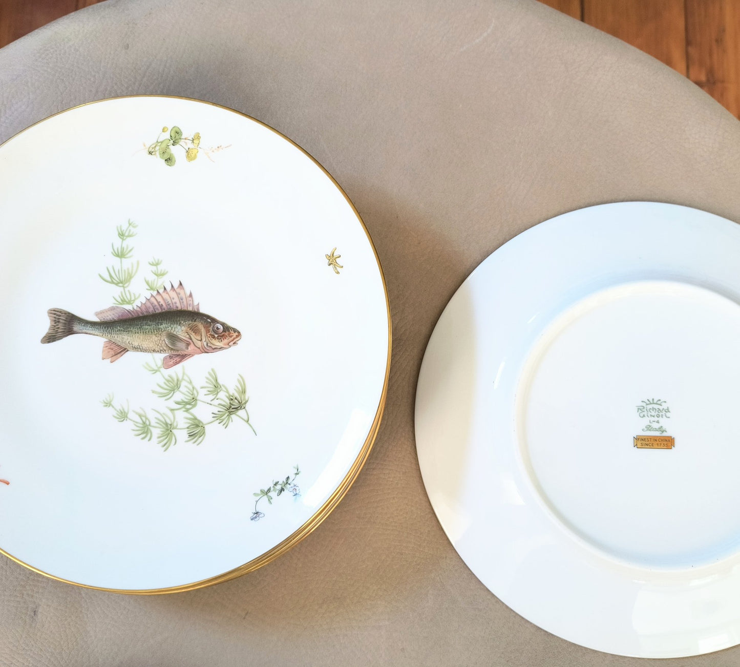 Richard Ginori 10" Dinner Plates (Fish)