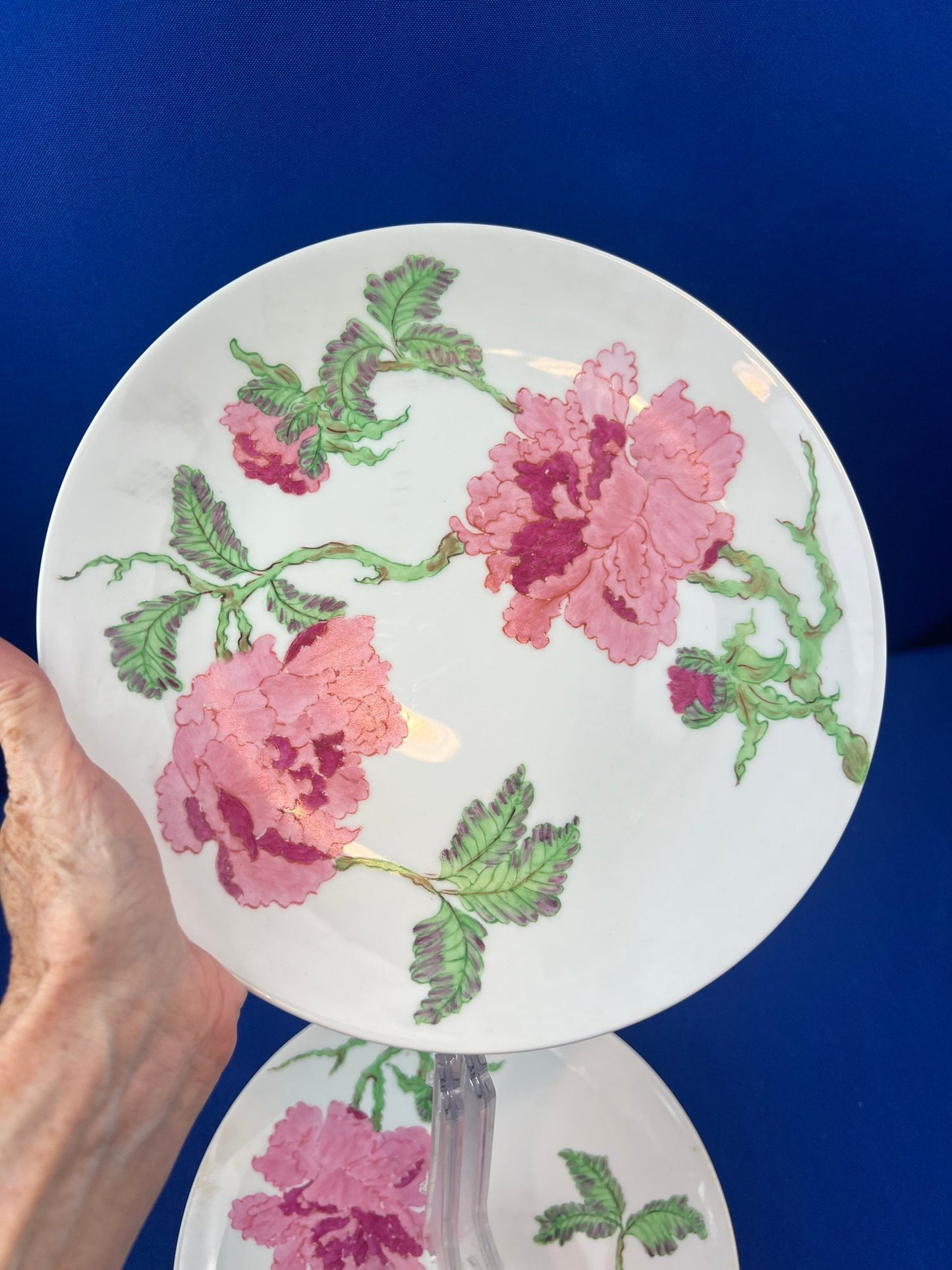 German Porcelain 10" Plates - Signed "Palm Beach - Au Bon Gout - Arzberg Germany"
