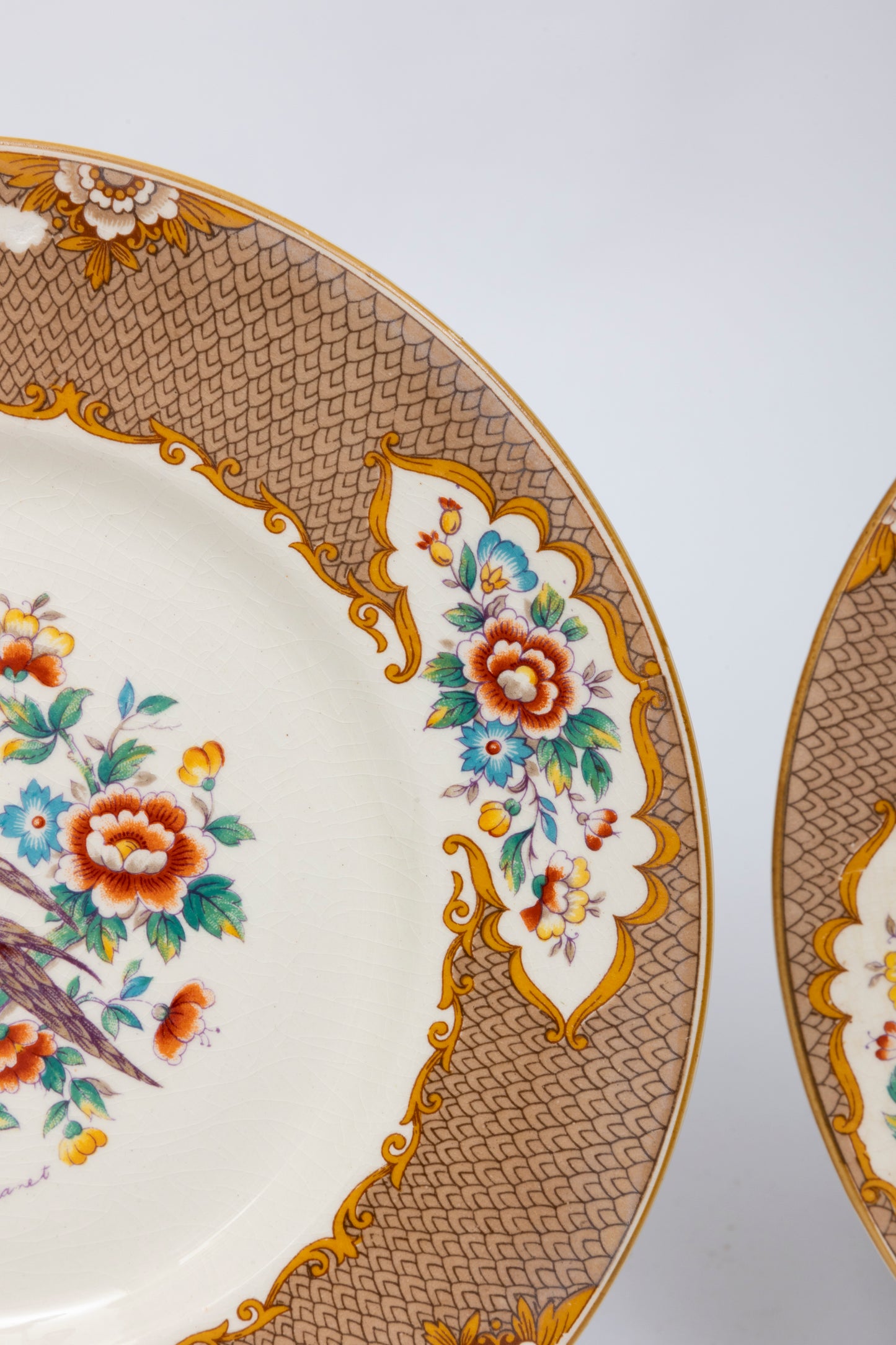 Hand Painted Old Bow Pheasant Plate Collection, Myott, Son&Co Staffordshire, England