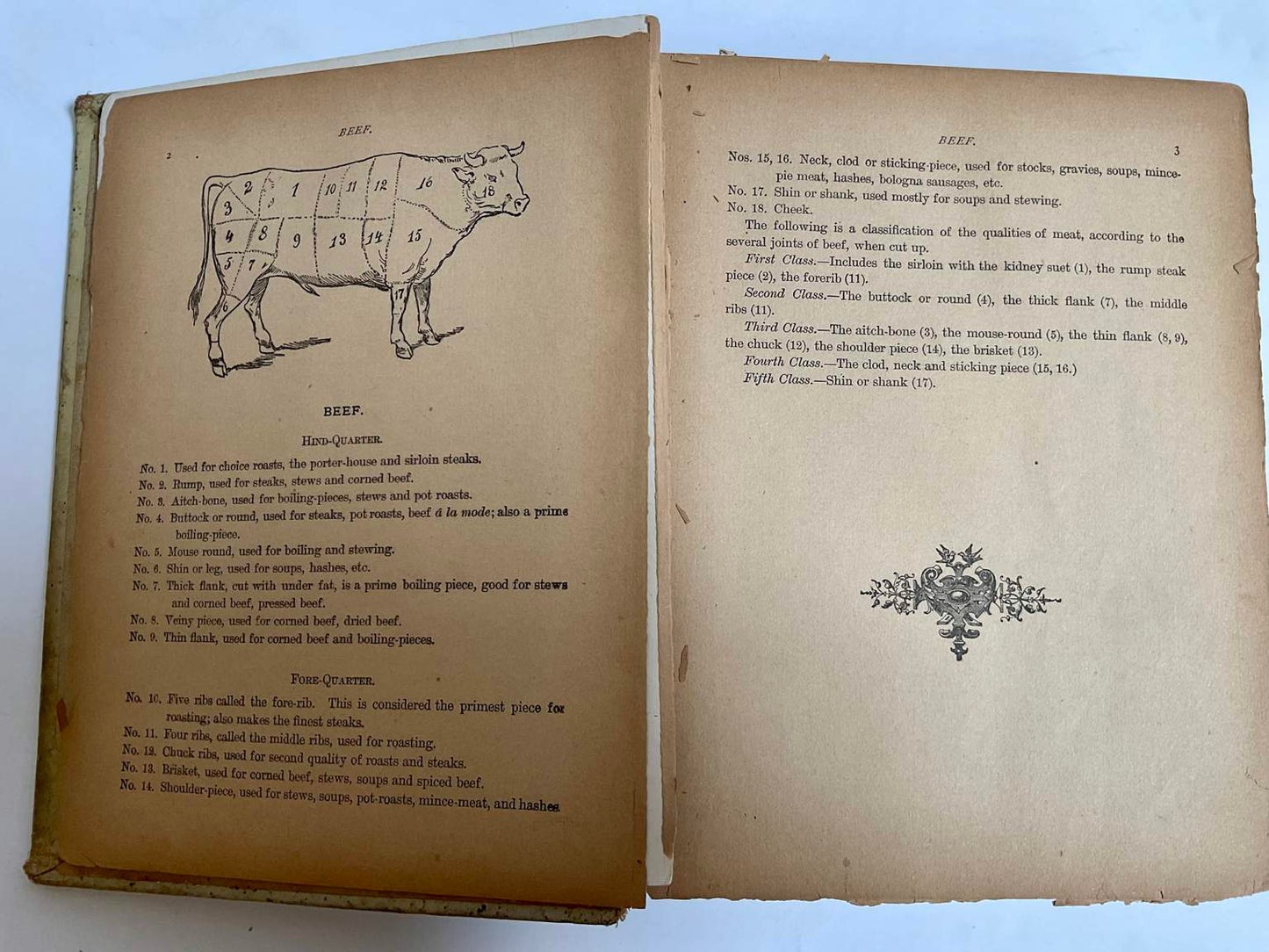 The 1894 Edition of the White House Cookbook by F. L. Gillette