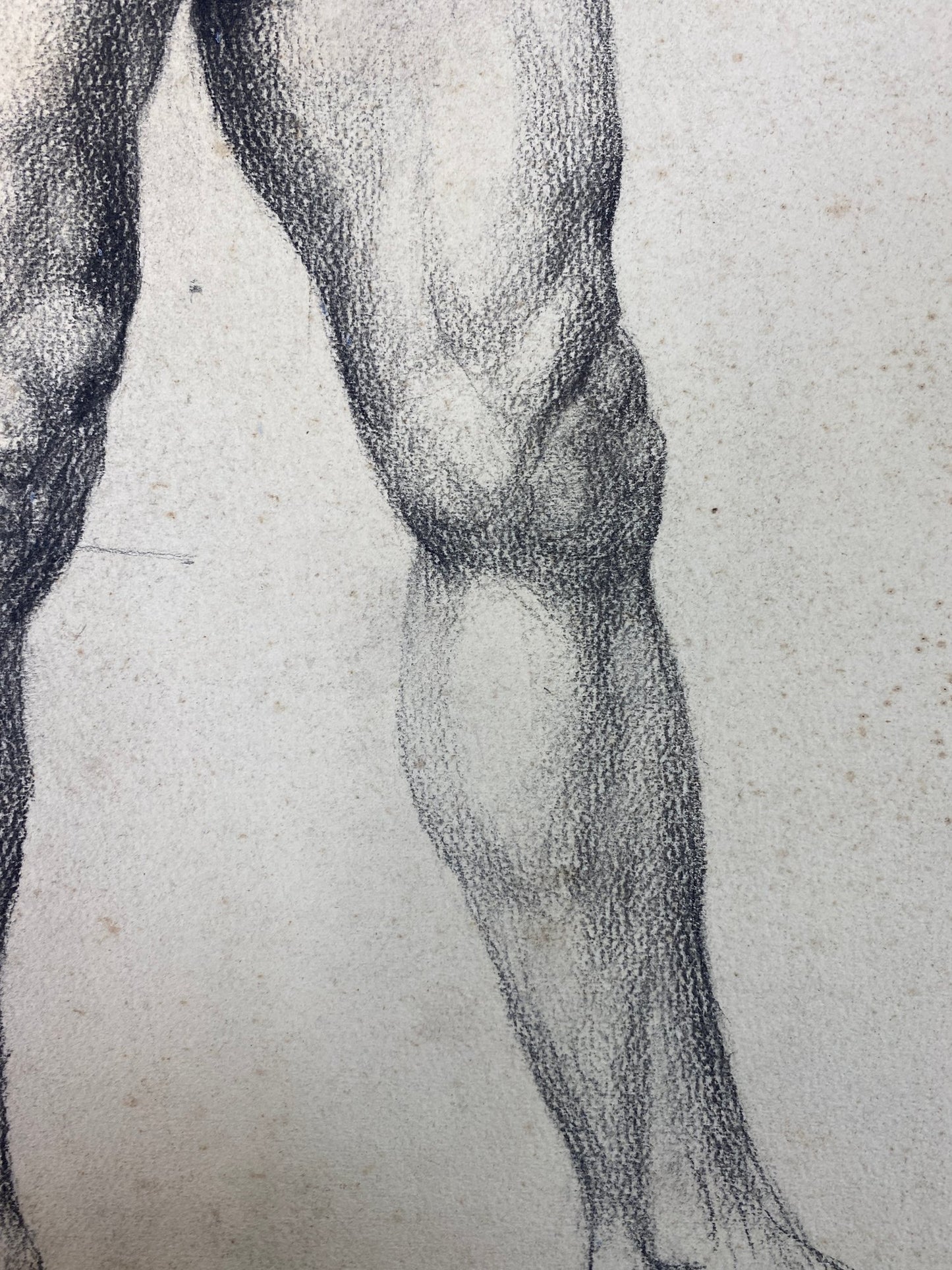 Alton Tobey: Academic Male Studies