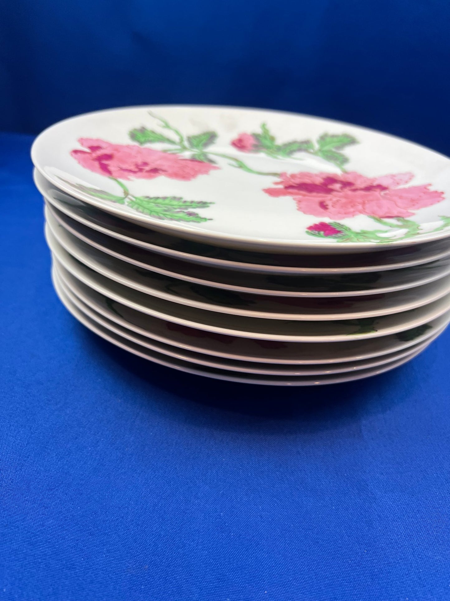 German Porcelain 10" Plates - Signed "Palm Beach - Au Bon Gout - Arzberg Germany"