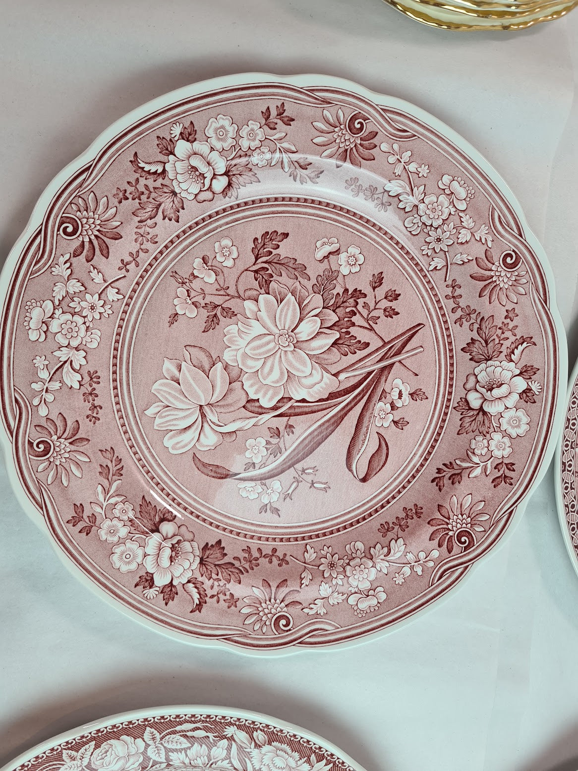 Spode Georgian Collection Dinner Plate set of 12