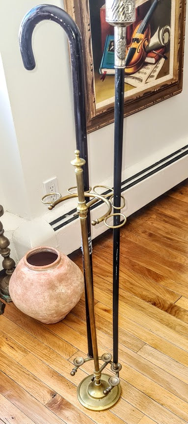 Rare Antique Edwardian Umbrella-Cane Stand early 1900