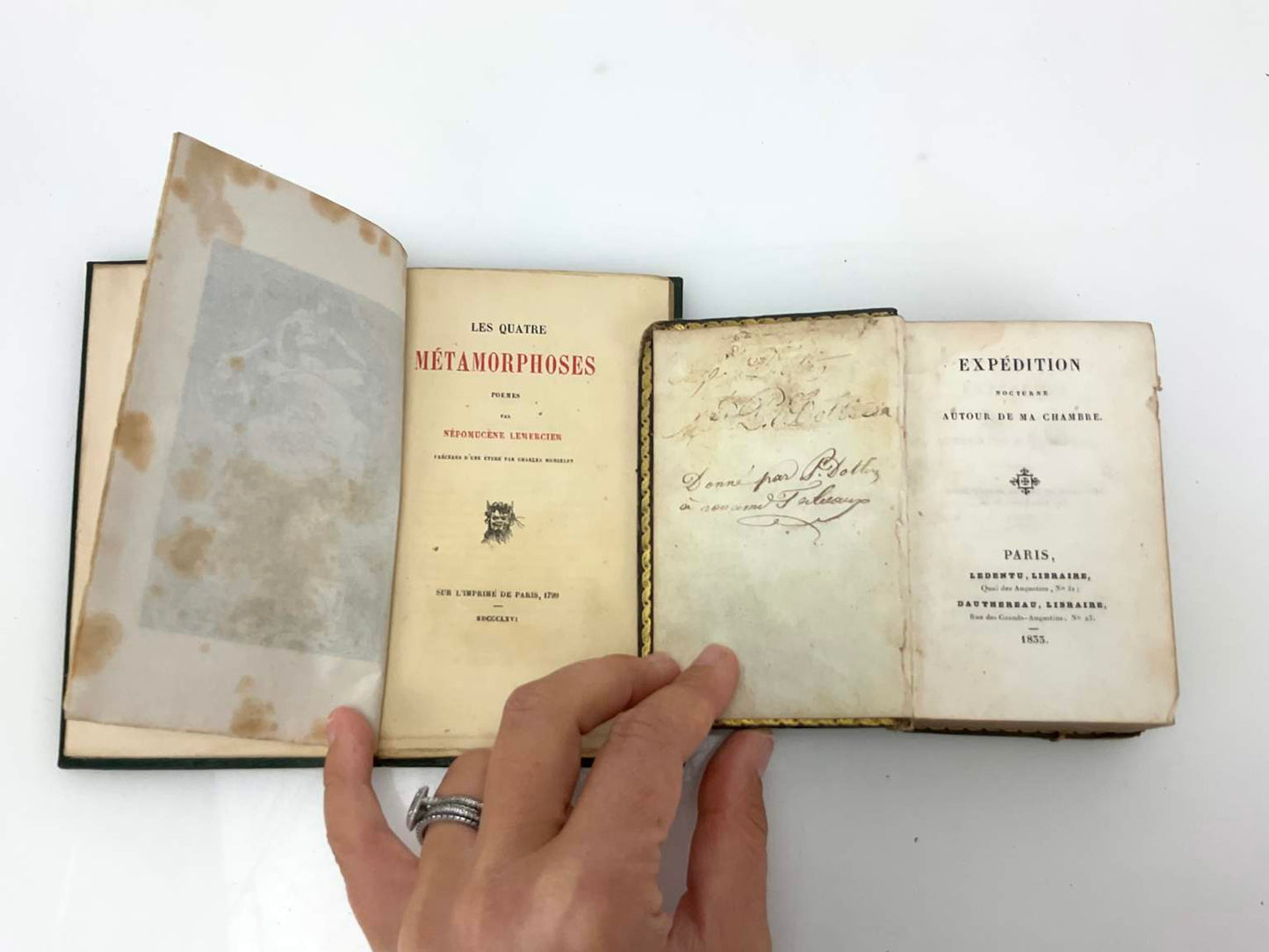 Collection of 19th Century Antique Books (11)