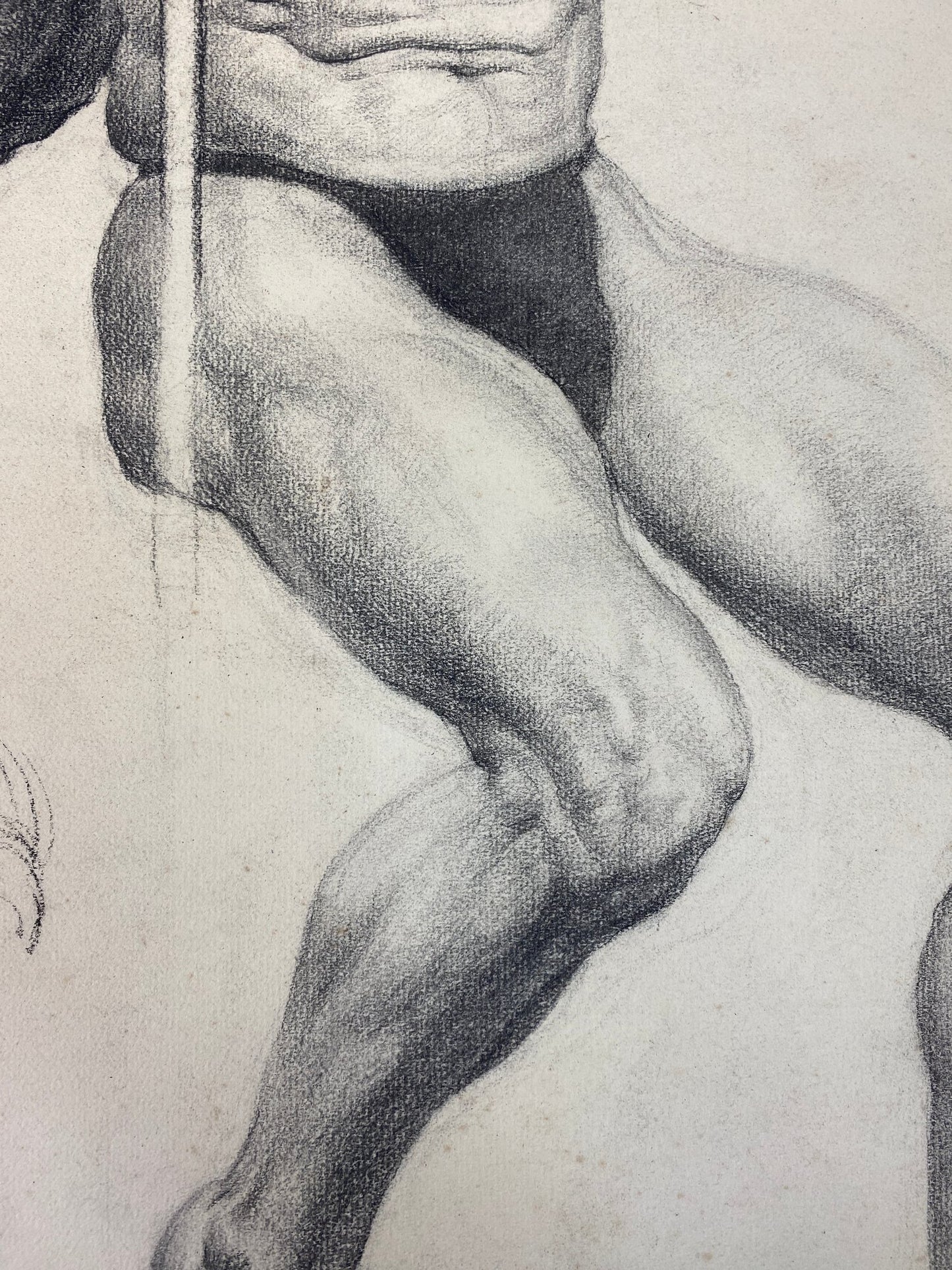 Alton Tobey: Academic Male Studies